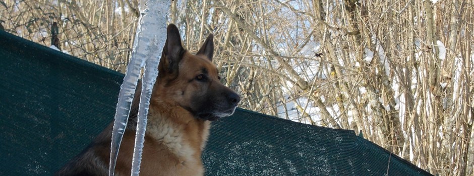 Morbi porta hendrerit nisi